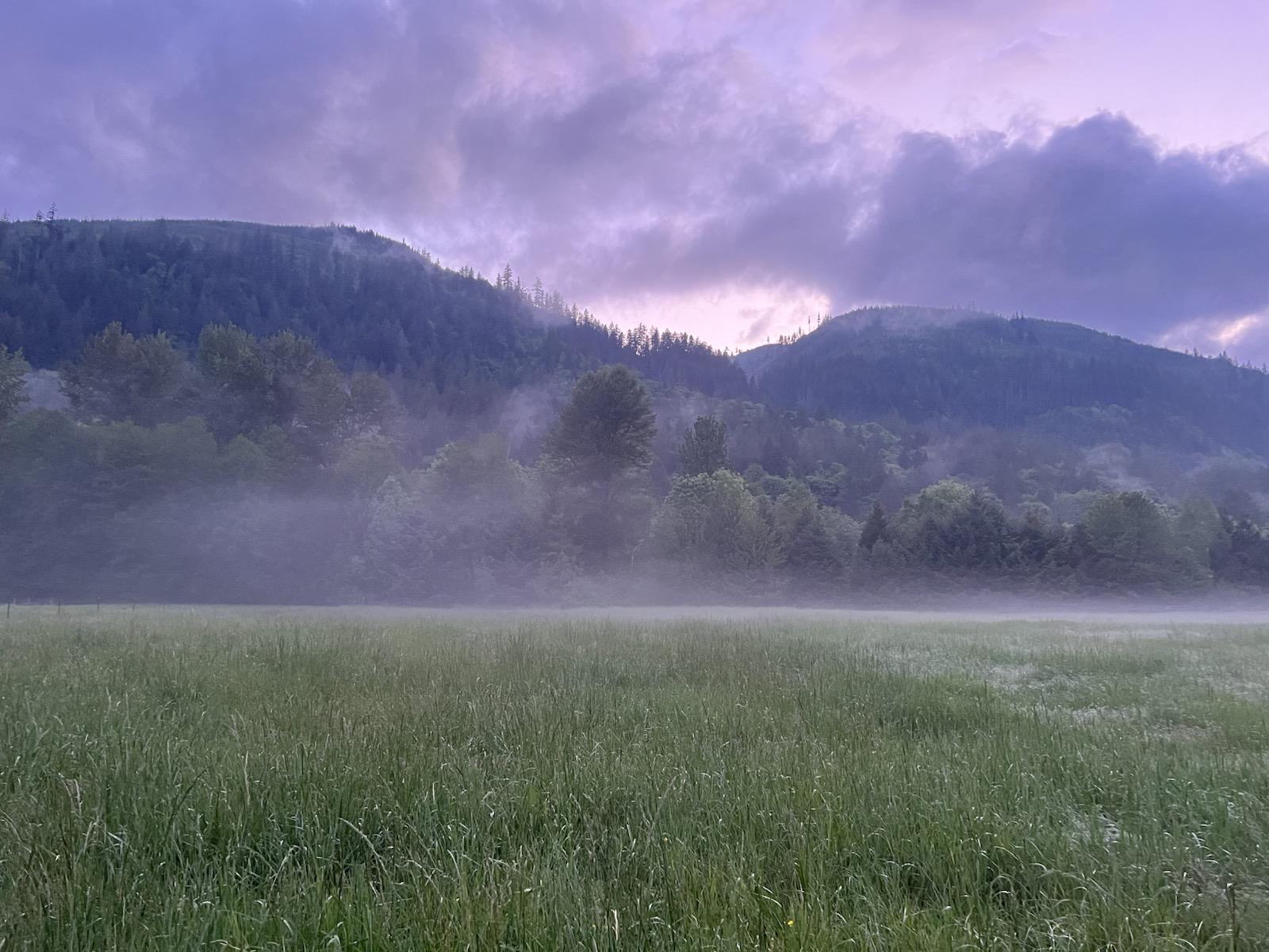 Morning mist over River Farm meadow with forested mountains behind